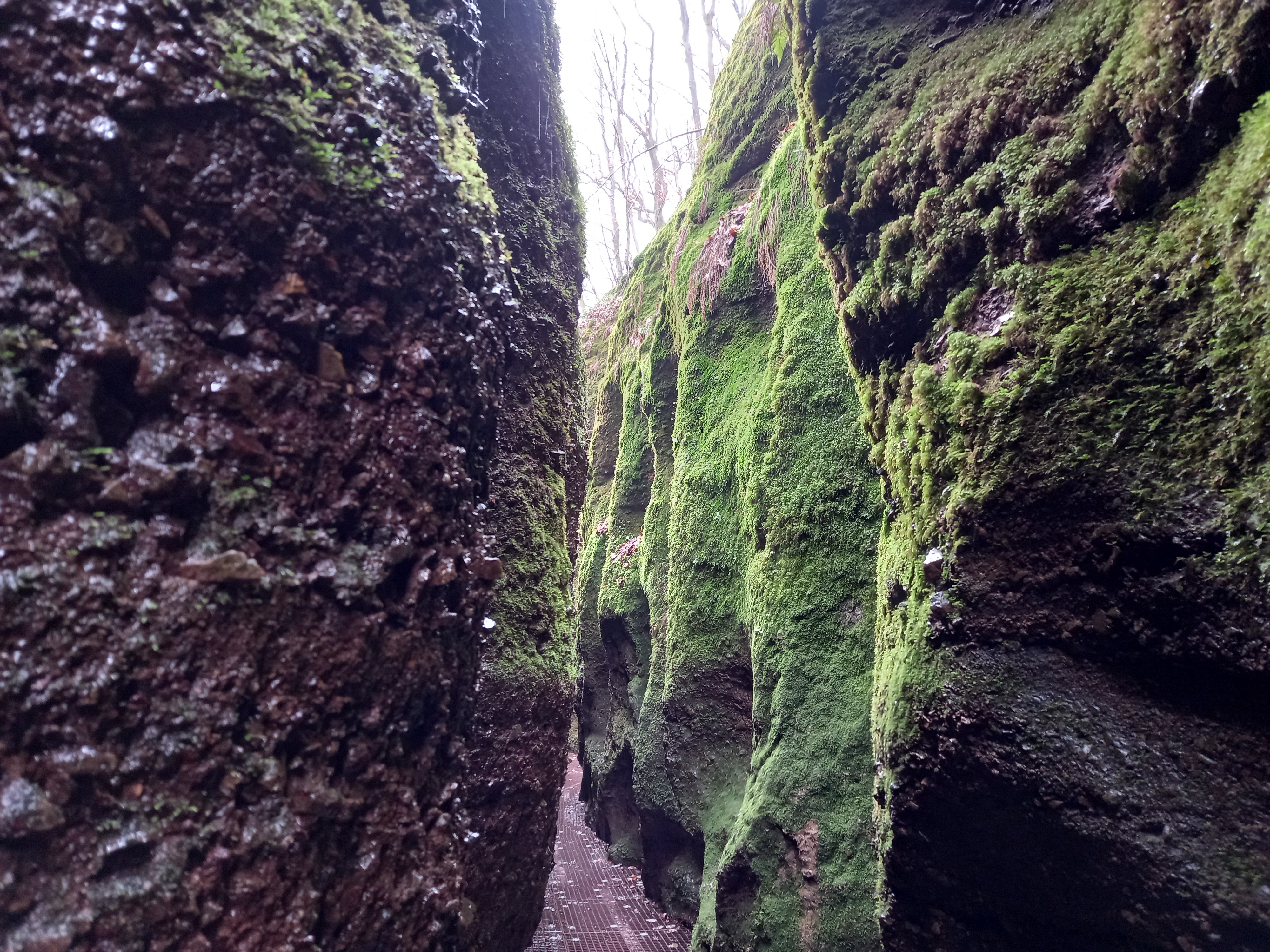 Drachenschlucht bei Eisenach