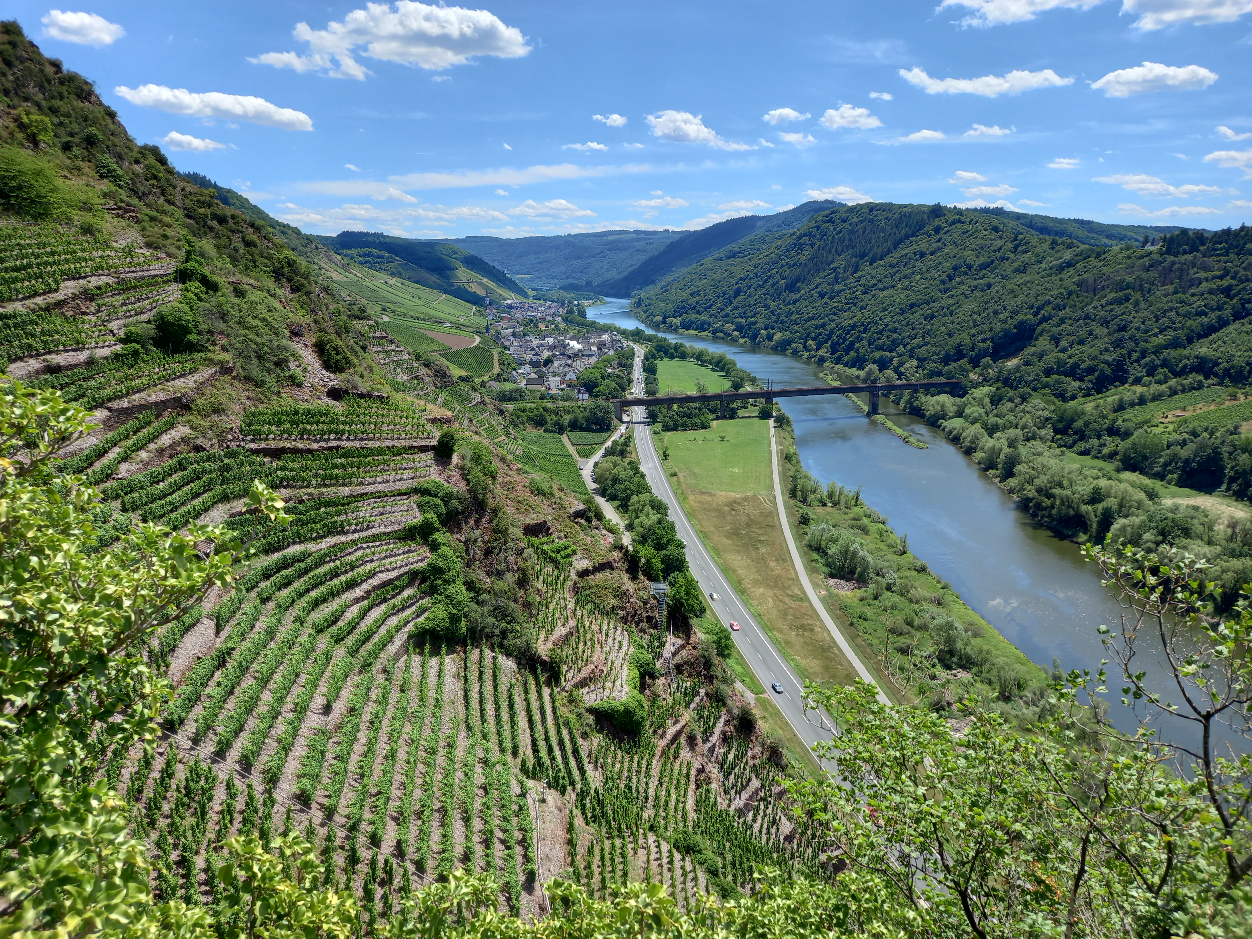 Blick auf Weinberge und ins Moseltal