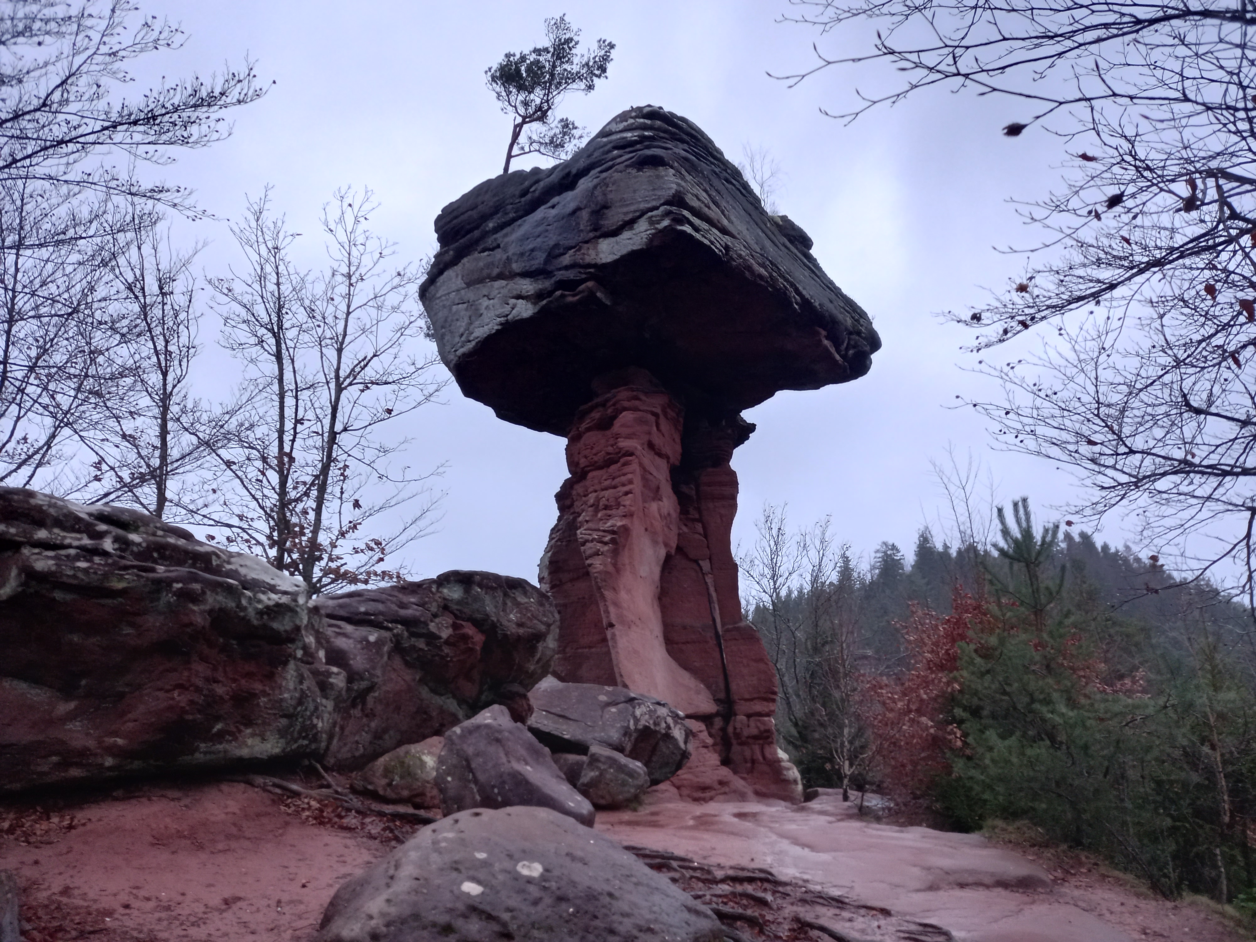 Teufelstisch Hinterweidenthal.